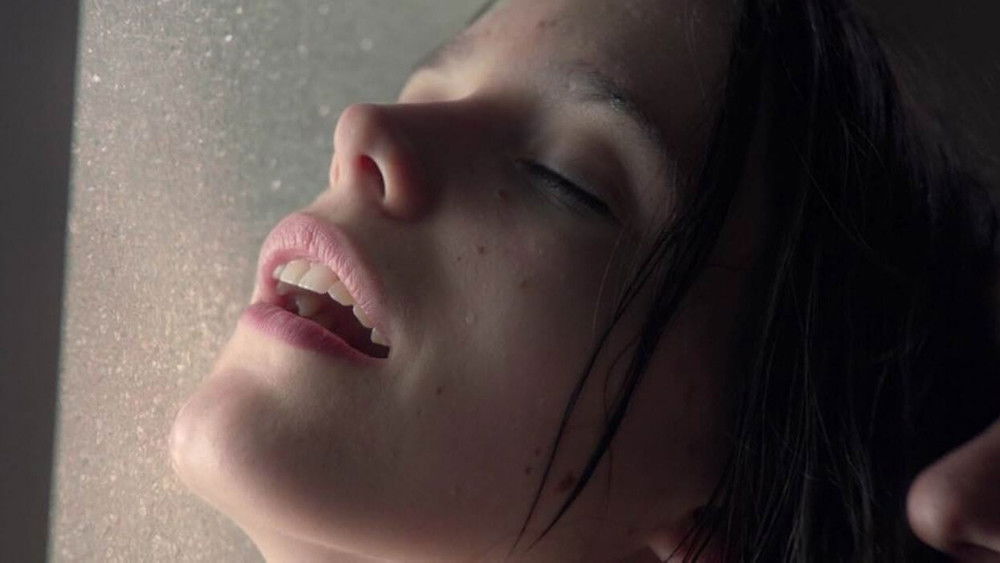 女性瘾者：第一部,Nymphomaniac: Vol. I(2013电影)