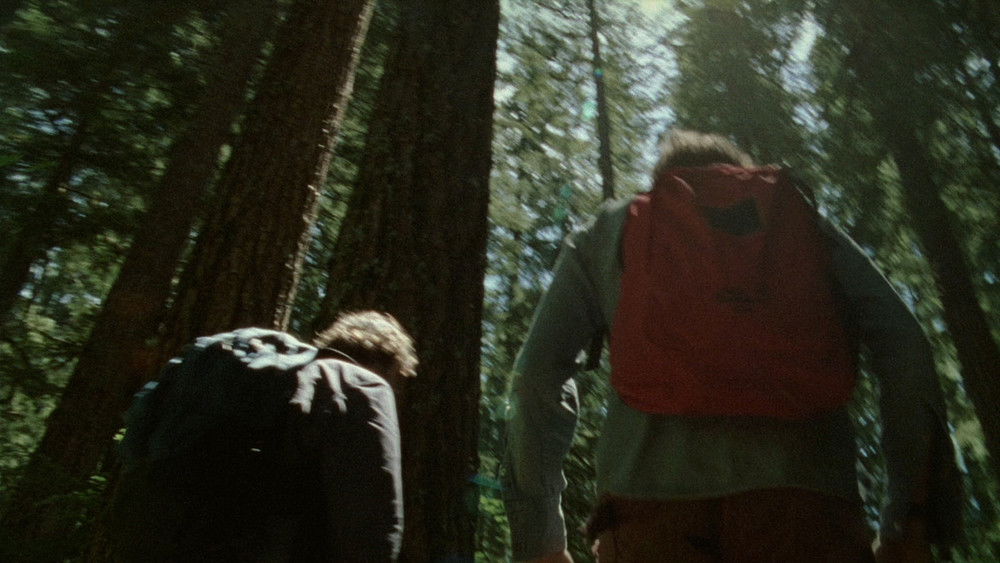 昨日欢愉,Old Joy(2006电影)