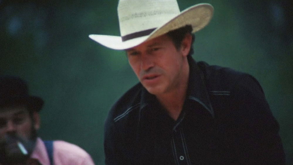 斗鸡人,Cockfighter(1974电影)