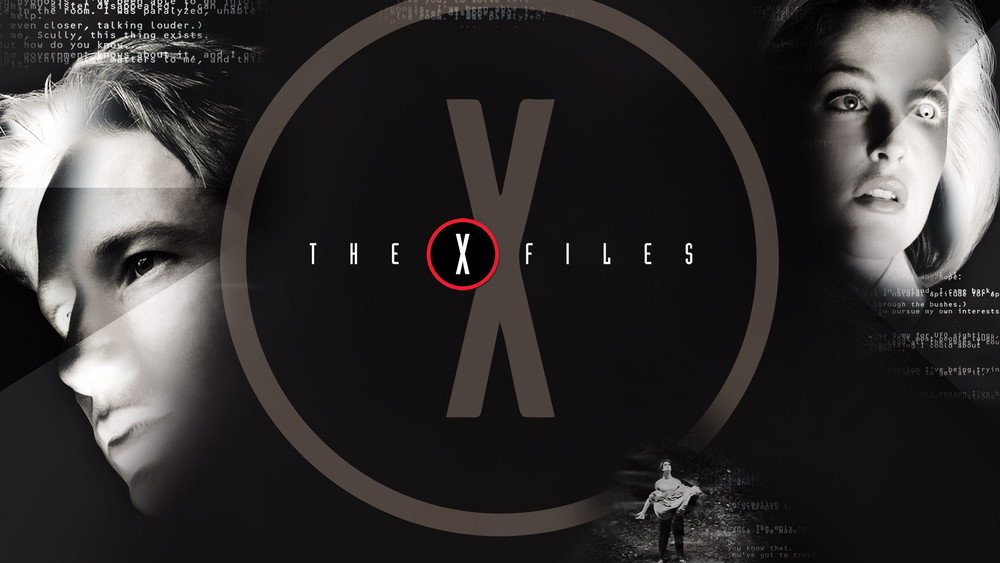 X档案,The X-Files(1993电视剧集)