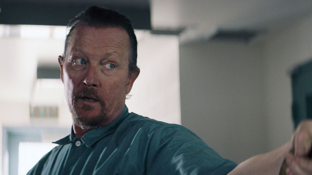 最后的疯狂,Last Rampage(2017电影)