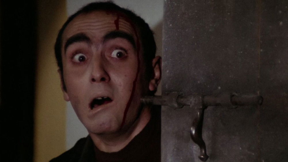 墓地亡灵4：海鸥之夜,La noche de las gaviotas(1975电影)