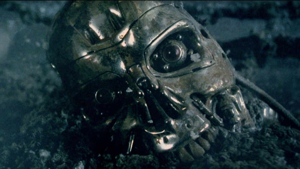 终结者3：机器的觉醒,Terminator 3: Rise of the Machines(2003电影)