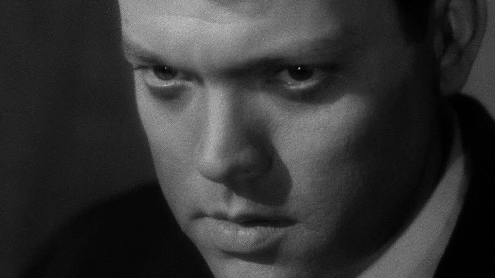 上海小姐,The Lady from Shanghai(1947电影)