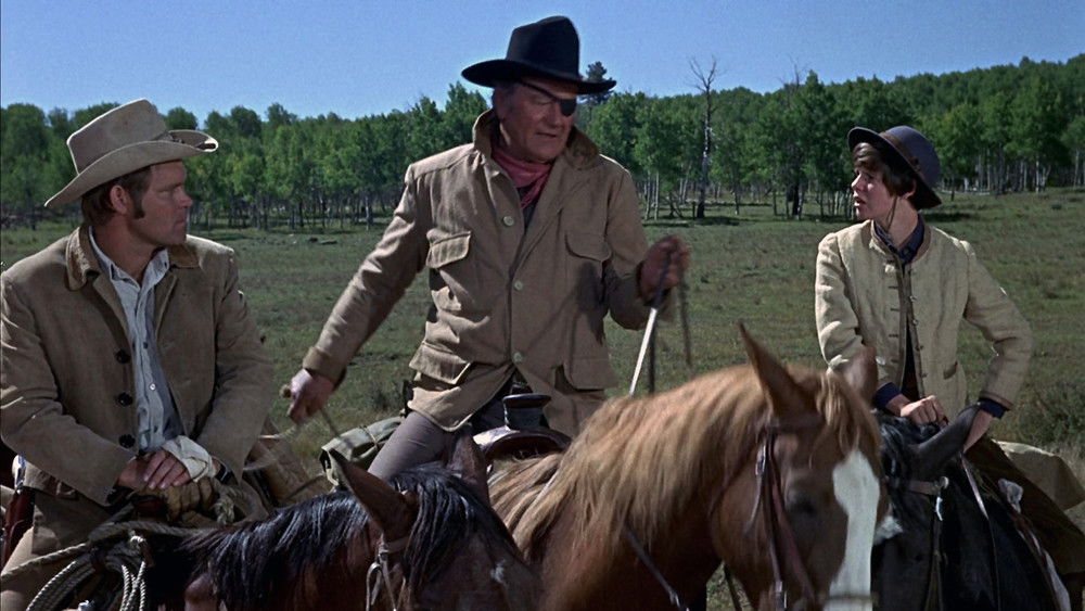 大地惊雷,True Grit(1969电影)