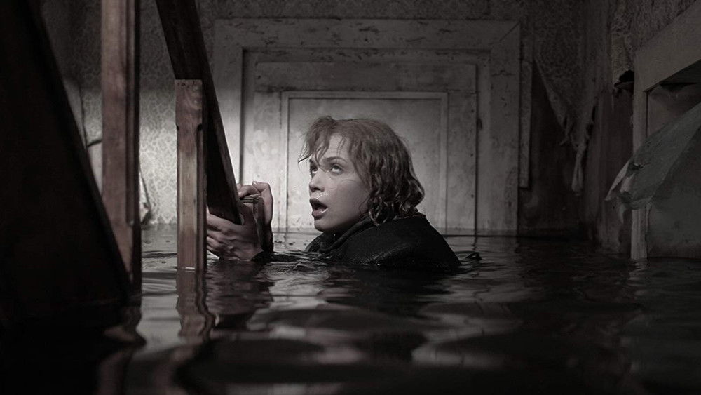 暴风雨,De storm(2009电影)