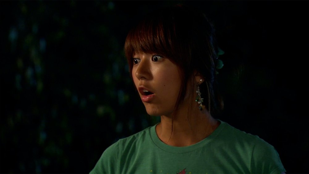 葡萄园里的那个男人,The Man of the Vineyard(2006电视剧集)