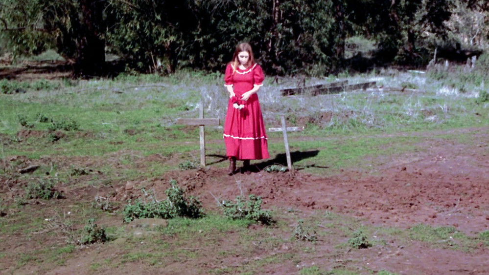 琳达与艾比利尼,Linda and Abilene(1969电影)