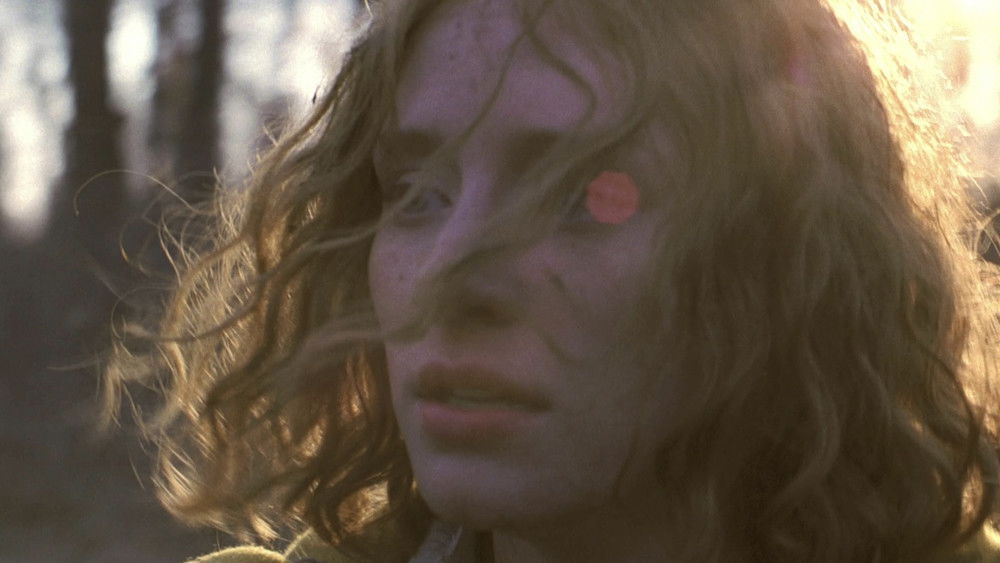 神秘村,The Village(2004电影)