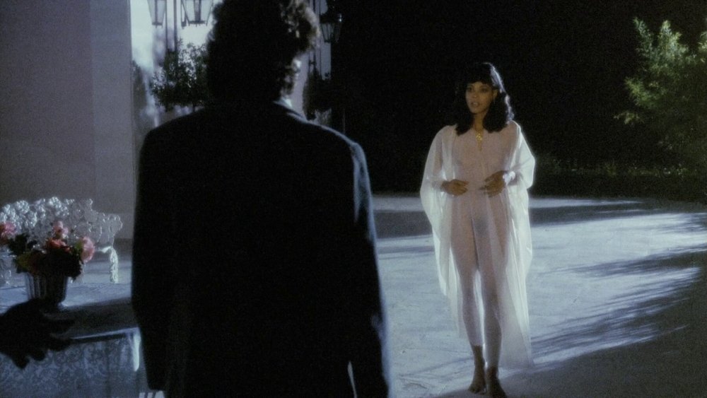 欲拒还迎,Black Venus(1983电影)