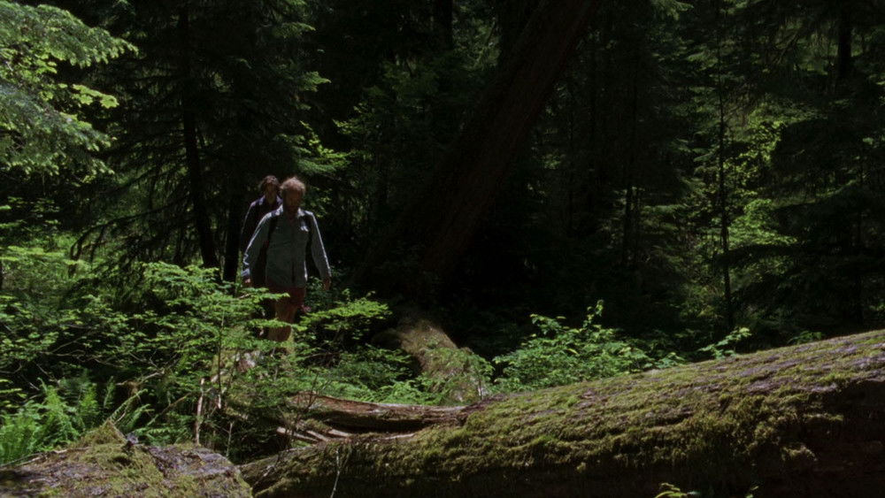 昨日欢愉,Old Joy(2006电影)