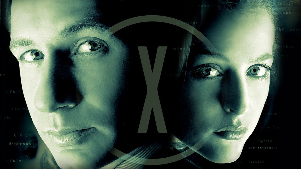 X档案,The X-Files(1993电视剧集)
