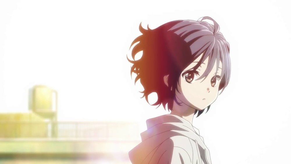 那一天的她们,あの日の彼女たち(2018日本动漫)