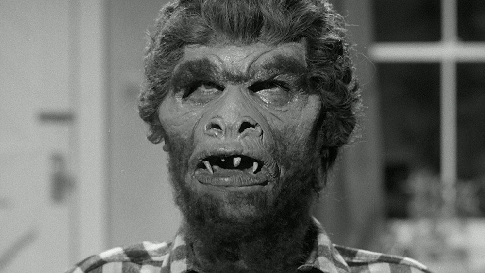 校园怪物,Monster on the Campus(1958电影)