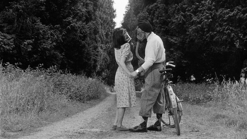 悠悠,Yoyo(1965电影)