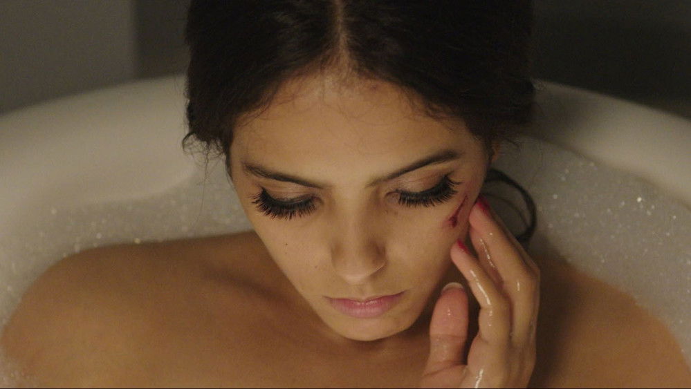 性爱娃娃,Sex Doll(2016电影)