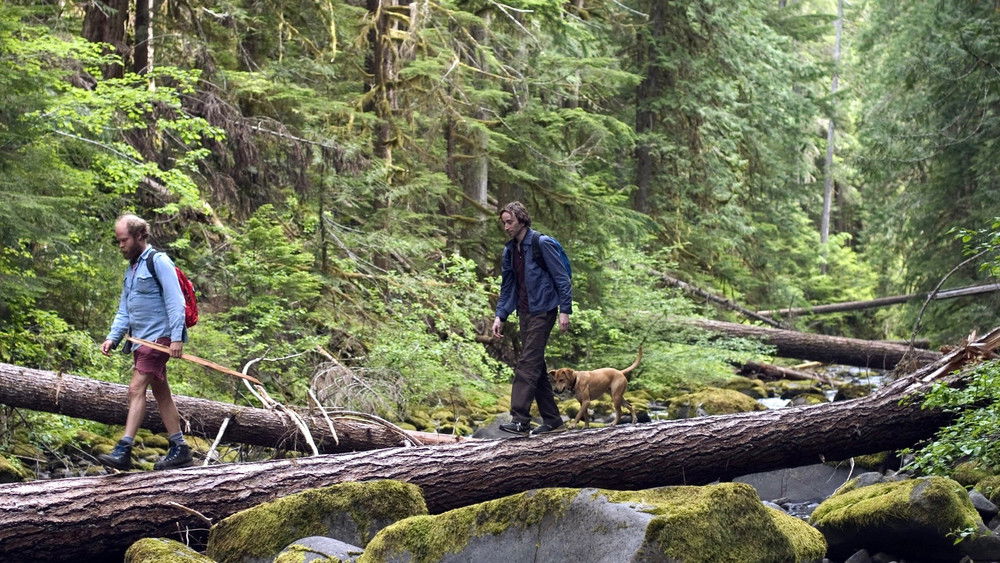 昨日欢愉,Old Joy(2006电影)