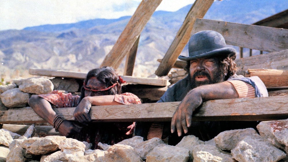 哥俩闯西部,Occhio alla penna(1981电影)