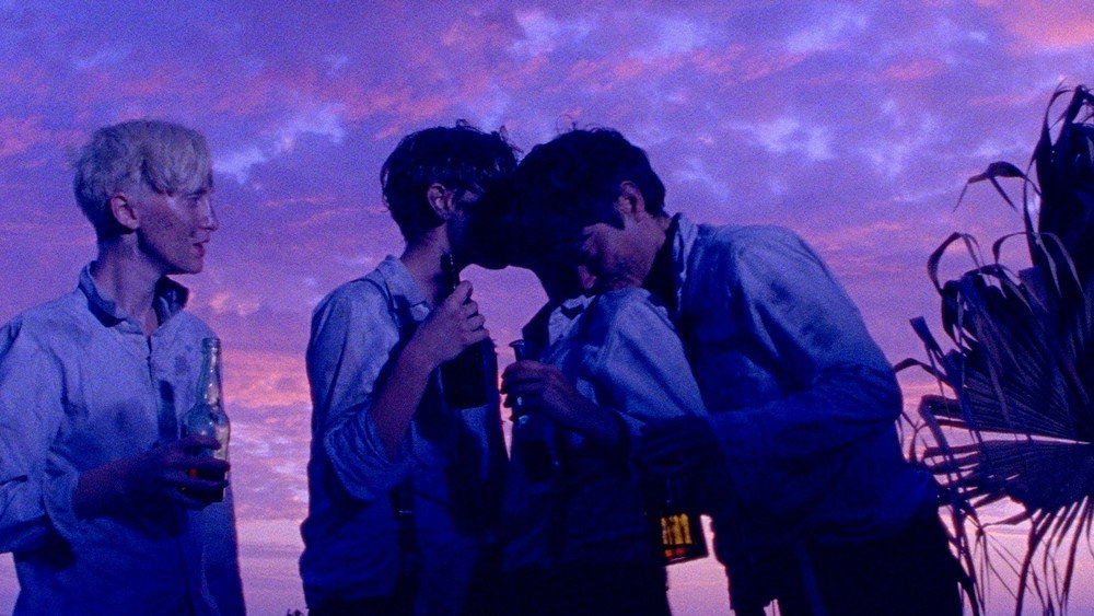 野小子们,Les Garçons sauvages(2017电影)
