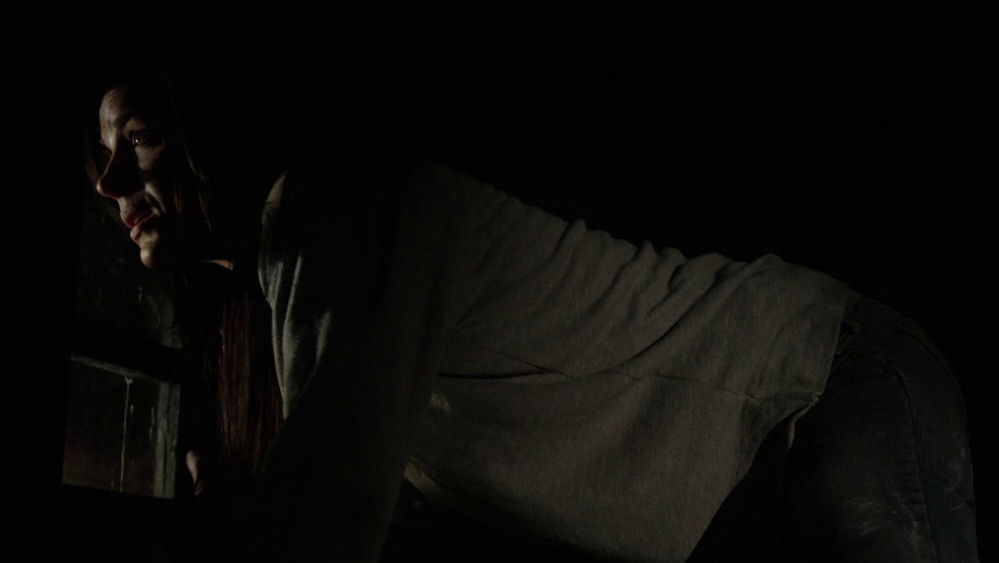 海文活特死亡公寓,Havenhurst(2016电影)