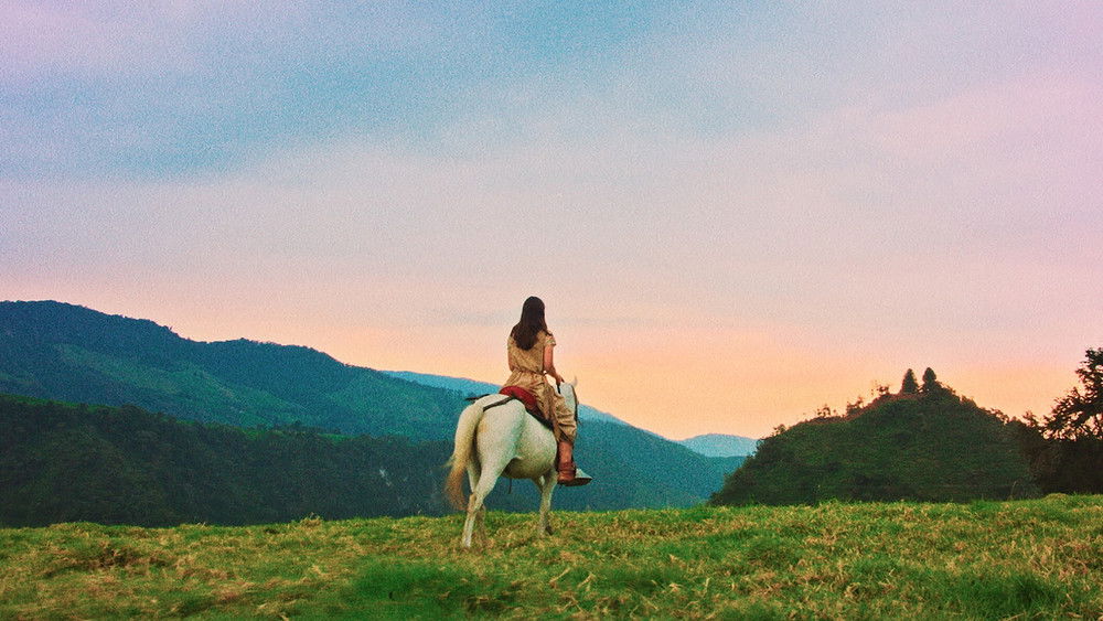 恶之繁花,Luz(2019电影)