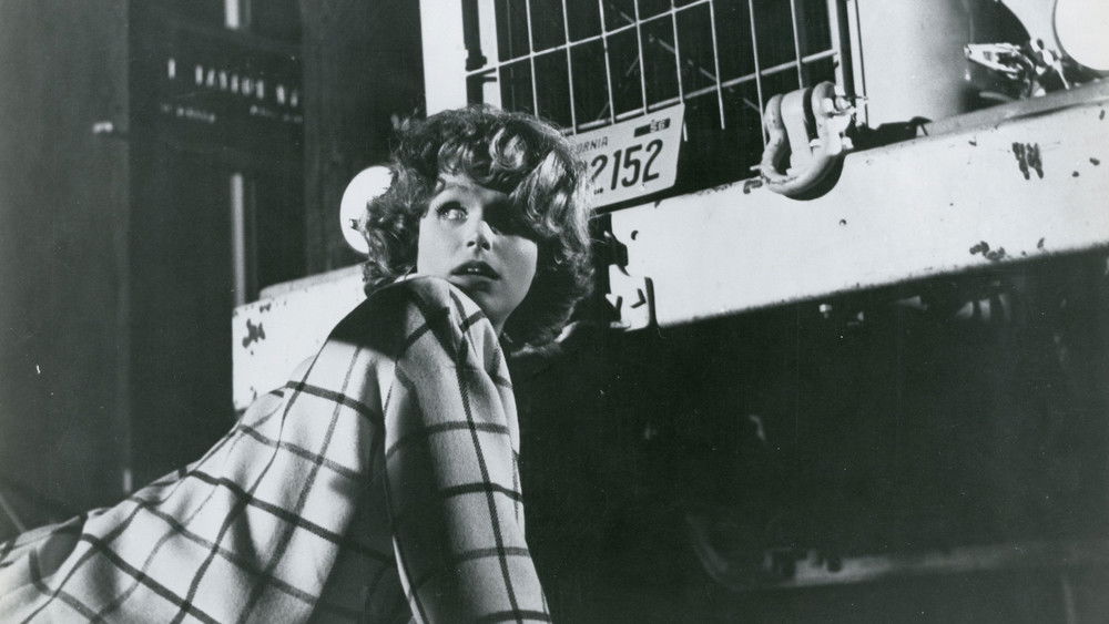 恐怖实验,Experiment in Terror(1962电影)