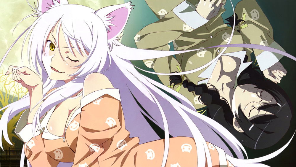 物语系列,化物語(2009日本动漫)