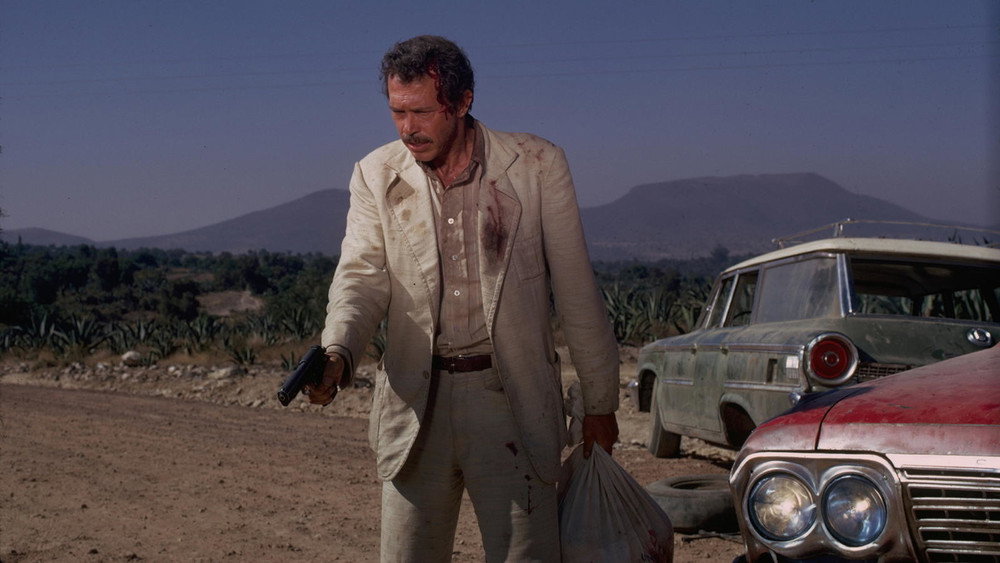 惊天动地抢人头,Bring Me the Head of Alfredo Garcia(1974电影)