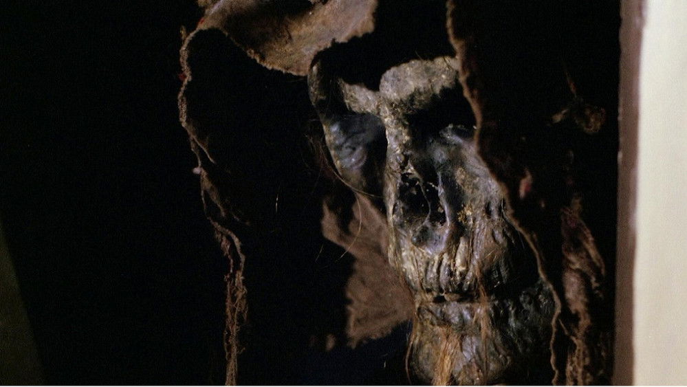 墓地亡灵4：海鸥之夜,La noche de las gaviotas(1975电影)