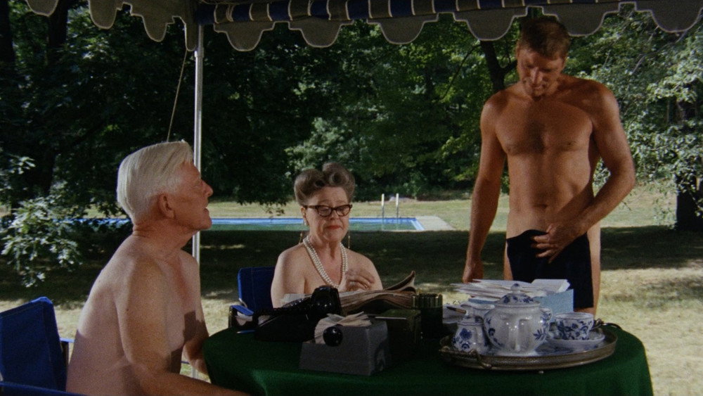 浮生录,The Swimmer(1968电影)