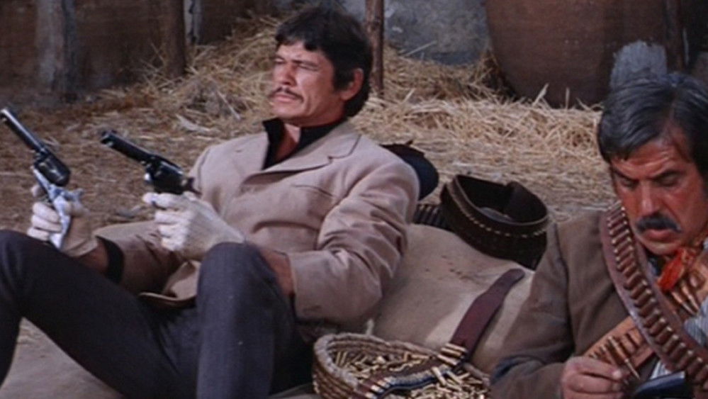 西部骑士,Villa Rides(1968电影)