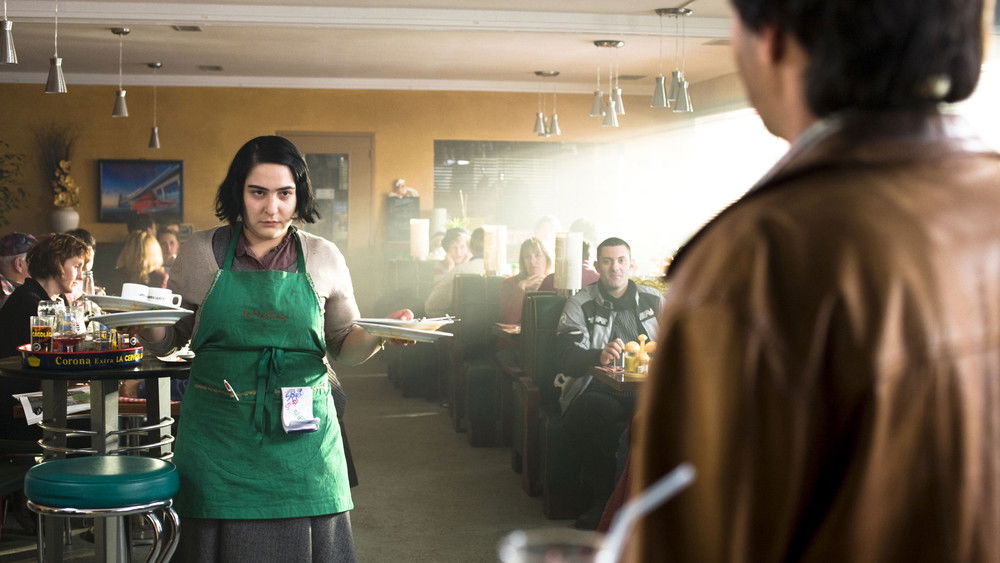 丑女,Vilaine(2008电影)