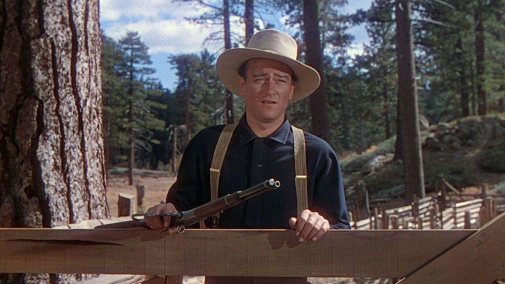 牧岭恩仇记,The Shepherd of the Hills(1941电影)