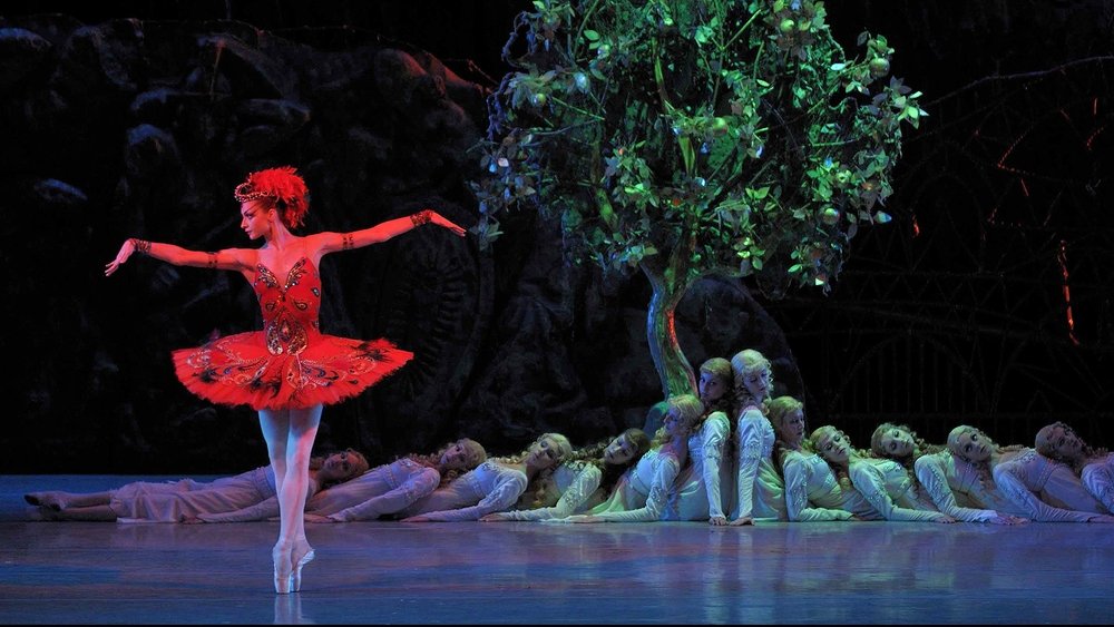 斯特拉文斯基和俄罗斯芭蕾,Stravinsky et les Ballets Russes: L'oiseau de feu / Le Sacre du Printemps(2009电影)