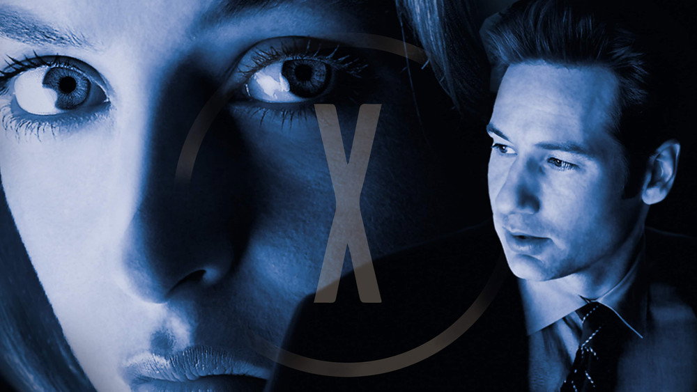 X档案,The X-Files(1993电视剧集)