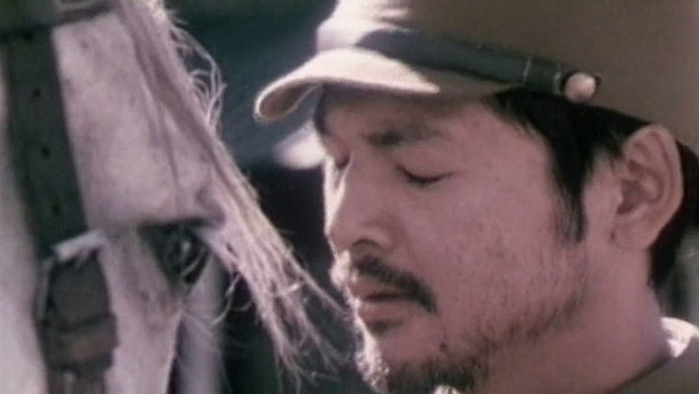 葵花劫(2003电影)