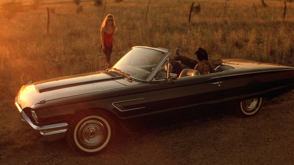 我心狂野,Wild at Heart(1990电影)