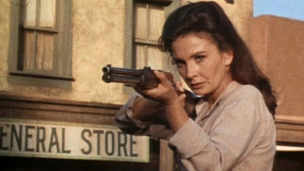 猛虎屠黑龙,Rough Night in Jericho(1967电影)