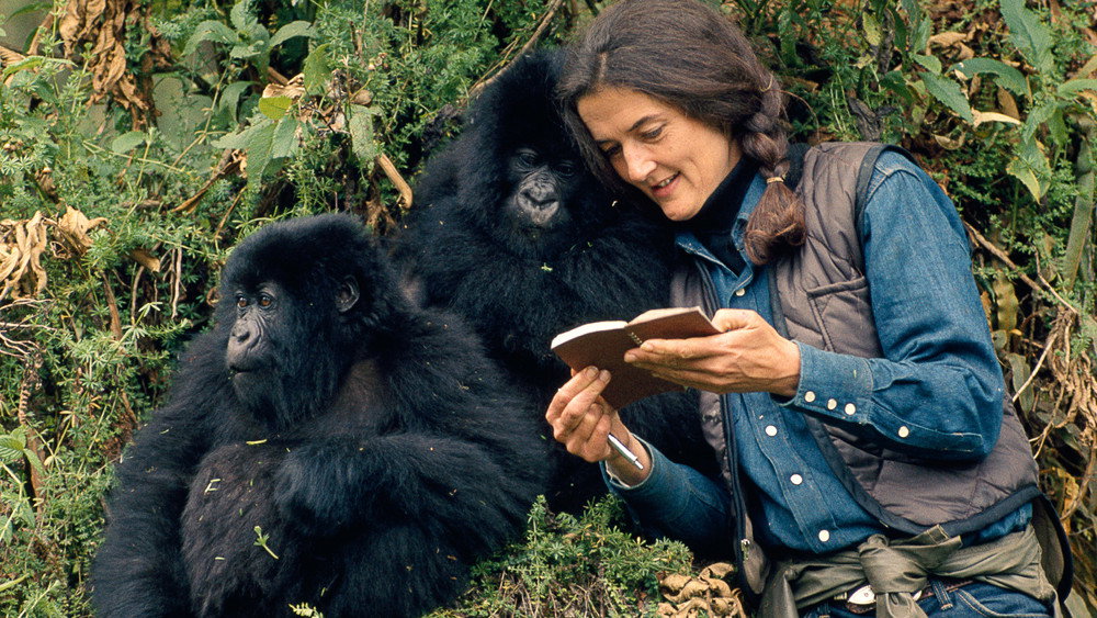 戴安·弗西被杀之谜,Dian Fossey: Secrets in the Mist(2017电视剧集)