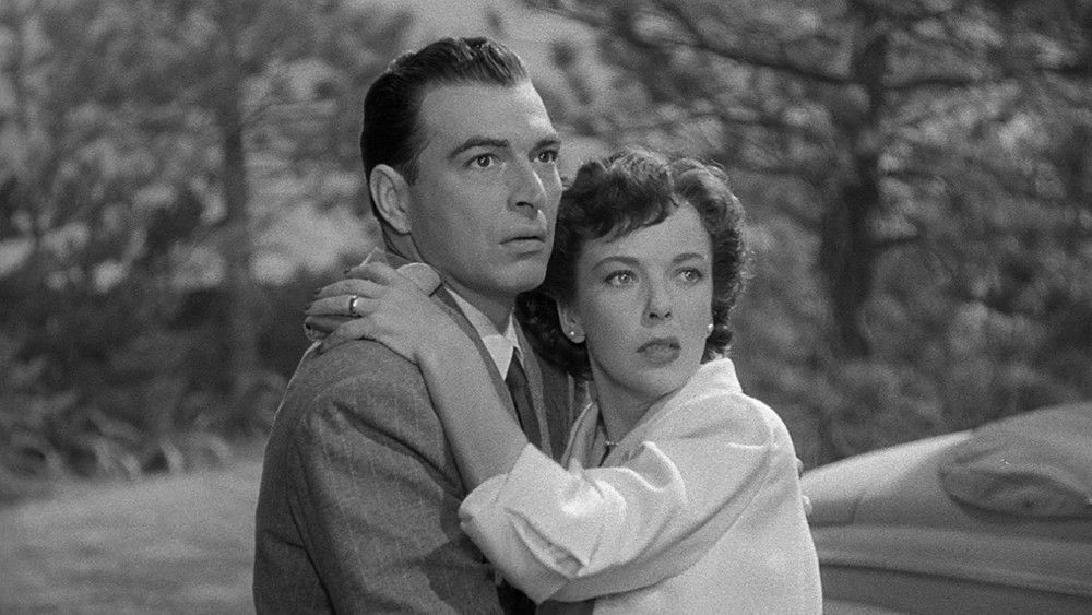 孤魂泪影,Woman in Hiding(1950电影)