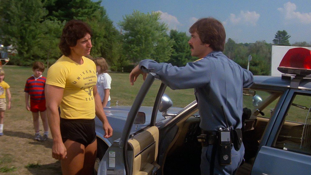 血腥死亡营,Sleepaway Camp(1983电影)