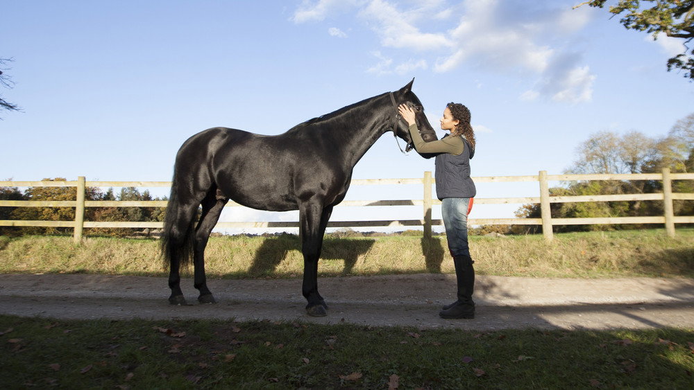 自由之缰,Free Rein(2017电视剧集)