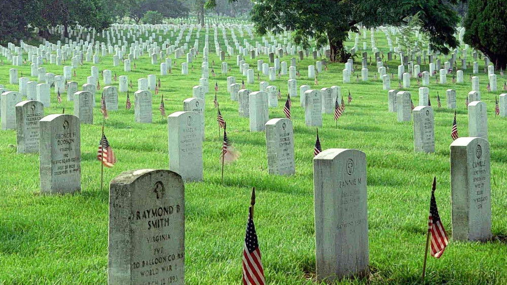 石花园,Gardens of Stone(1987电影)