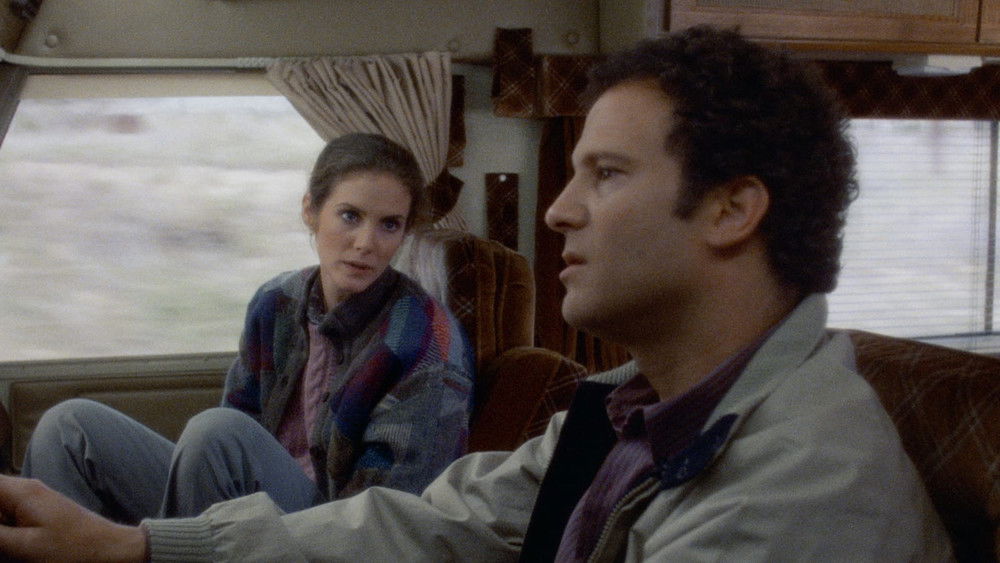 迷失的美国人,Lost in America(1985电影)