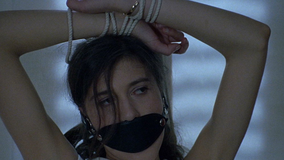 罗曼史,Romance(1999电影)