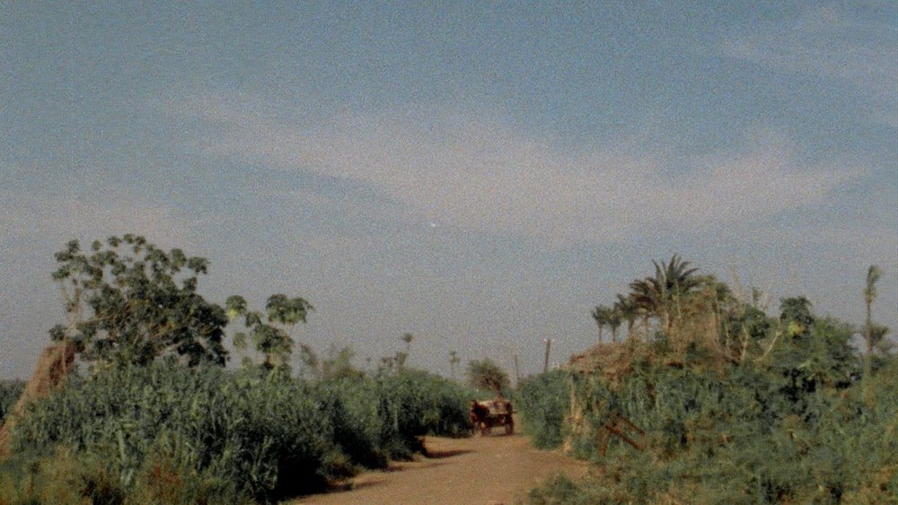 太早，太迟,Trop tôt, trop tard(1982电影)