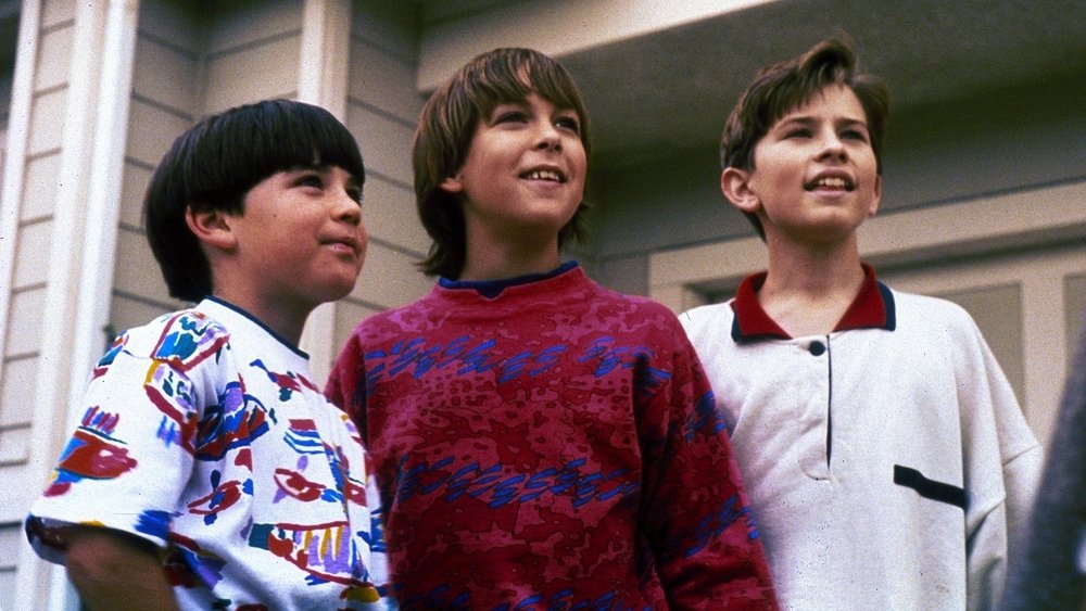 忍者小英雄,3 Ninjas(1992电影)