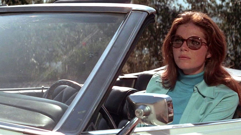 桃色凶车,La Dame dans l'auto avec des lunettes et un fusil(1970电影)