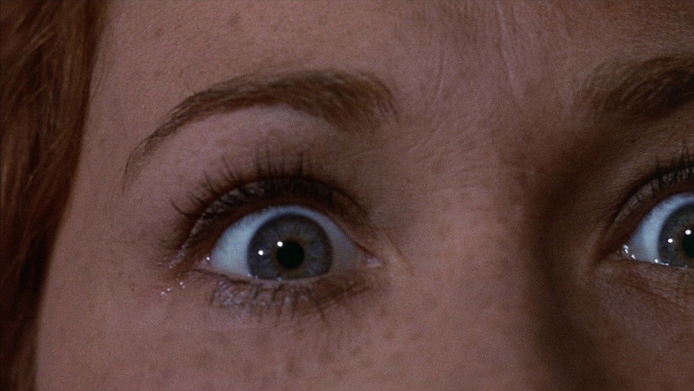 雨中的乘客,Le passager de la pluie(1970电影)