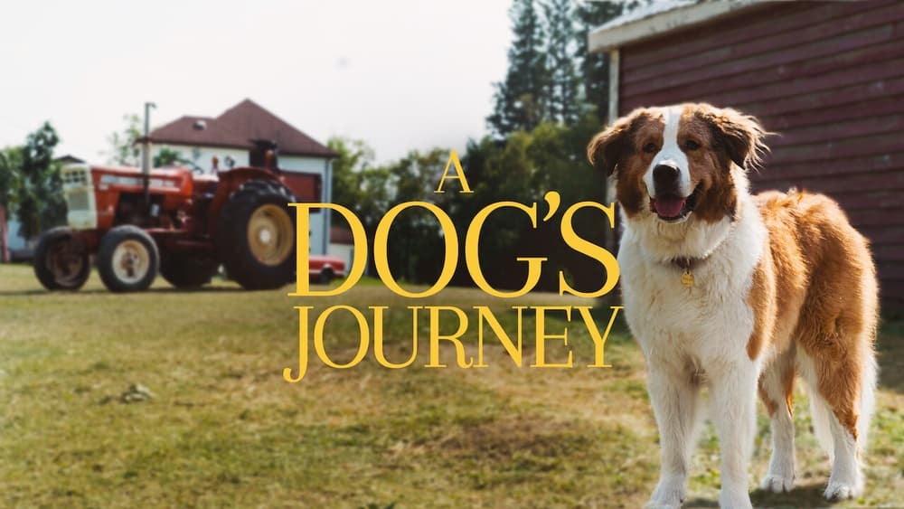 一条狗的使命2,A Dog's Journey(2019电影)
